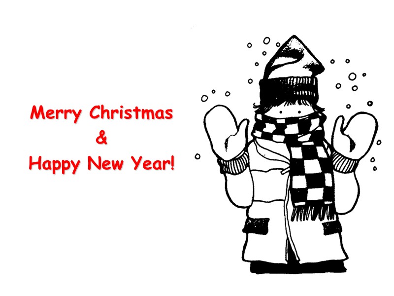 Merry Christmas  &  Happy New Year!